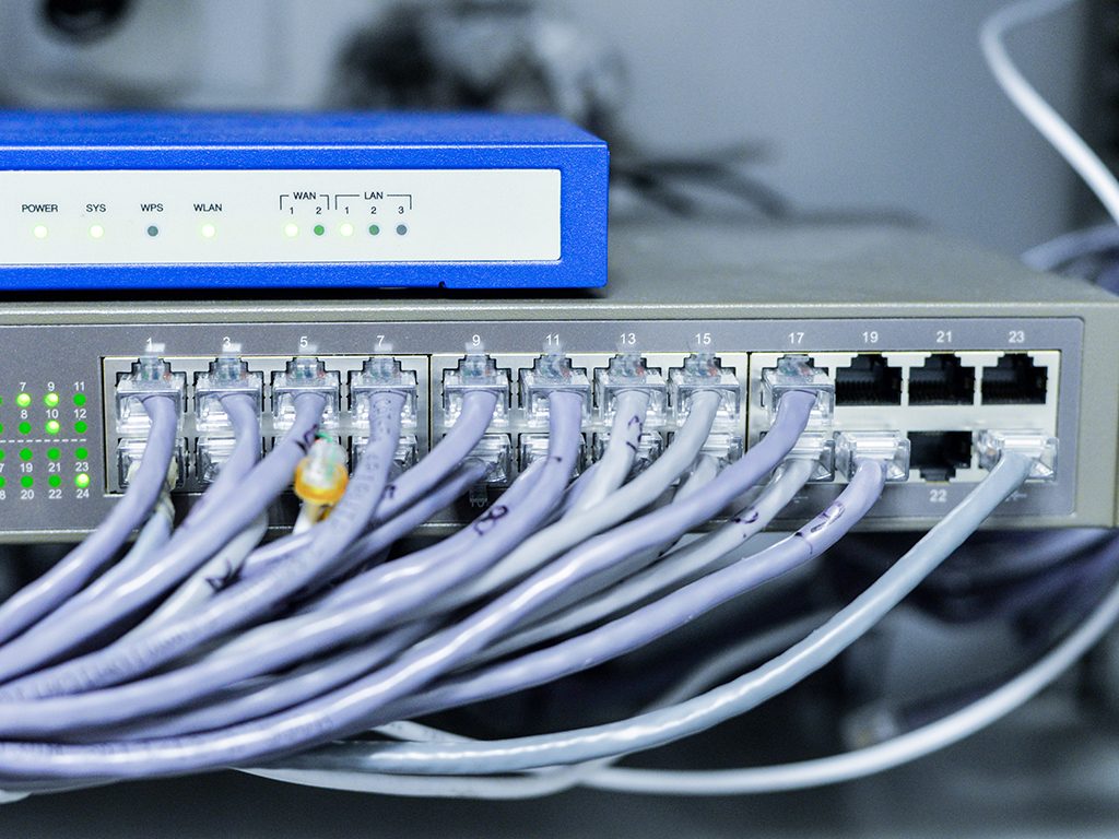 Structured cabling terminated into a patch panel inside a network cabinet.